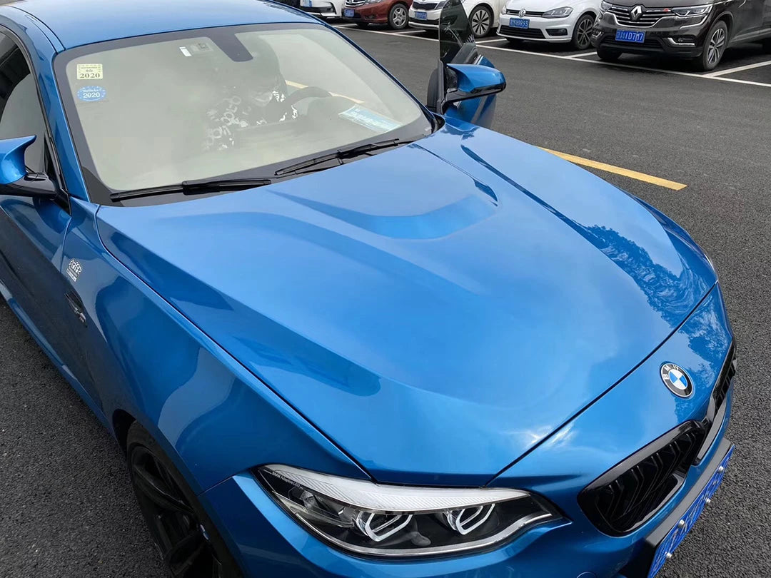 f22-m-performance-hood